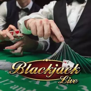 Live Blackjack logo by Evolution Pelikaani Casino